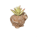 Hillside Pasture Faux Floral Table Decor, Highland Cow Succulent, Asst of 3, CDU