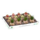 Hillside Pasture Faux Floral Table Decor, Highland Cow Succulent, Asst of 3, CDU