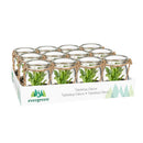 Pollinator Garden Faux Floral Table Decor Artificial in Hanging Glass Jar, 3"H, CDU