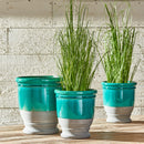 NAPA Home & Garden, ONION GRASS DROP-IN 25",GP208