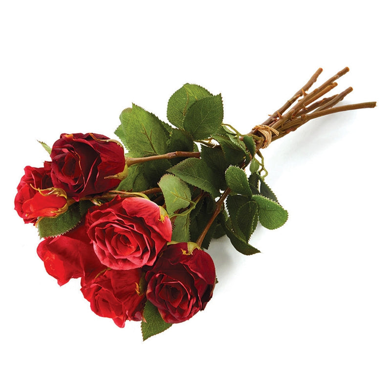 Napa Home Garden, ENGLISH ROSE BUNDLE/6 RED,gp210rd