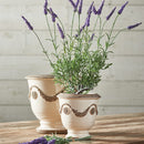 NAPA Home & Garden, FRENCH LAVENDER 11", BUNDLE OF 12,GP216