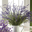 NAPA Home & Garden, FRENCH LAVENDER BUSH 34",GP225