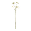 Napa Home Garden, WILD CHAMOMILE STEM 24.5",gp245