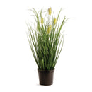 NAPA Home & Garden, WILD GRASS DROP-IN 16‚Äù,GP246