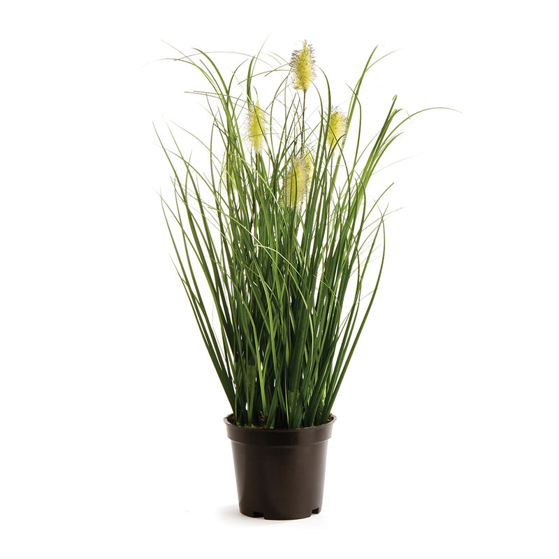 NAPA Home & Garden, WILD GRASS DROP-IN 16”,GP246