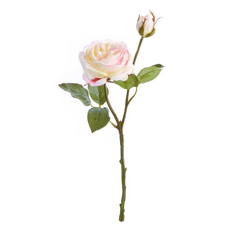 NAPA Home & Garden, GARDEN ROSE CUTTING 14",GP270WH