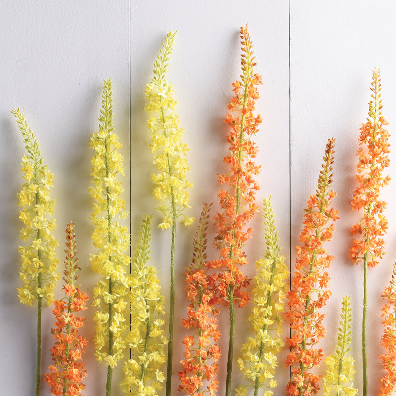 NAPA Home & Garden, EREMURUS STEM 46",GP279RG