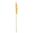 NAPA Home & Garden, EREMURUS STEM 46",GP279RG