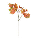NAPA Home & Garden, Maple Leaf Branch Collection