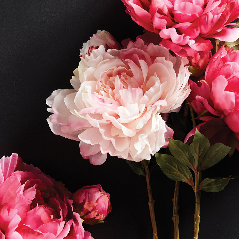 NAPA Home & Garden, PEONY STEM 21",GP413PKL