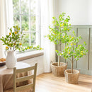 Seaside Retreat Garland, LED Lemon Garland, 72"L