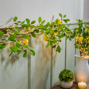 Seaside Retreat Garland, LED Lemon Garland, 72"L