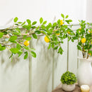 Seaside Retreat Garland, LED Lemon Garland, 72"L