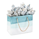 Blue Coastal Ceramic Planter Pick, 24pcs With Container