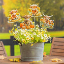 Harvest Blossoms Garden Stake,Metal Highland Cow Garden Picks with Bucket 14"H,Total 48pcs