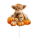 Harvest Blossoms Garden Stake,Metal Highland Cow Garden Picks with Bucket 14"H,Total 48pcs