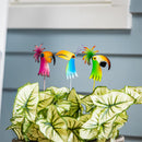 Palm Beach Tropical Bird Plant Pick, 3 Assorted, 24PCS in the Bucket Display