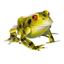 Cottage Garden Statuary, Metal Realistic Frog, 12.6"