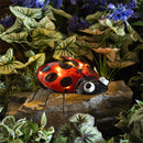 Cottage Garden Statuary, Glass Ladybug, Solar, 12"H