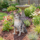Pet Central Garden Statuary, Metal Gray Tabby Cat, 12.2"H