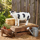 Hillside Pasture Garden Statuary, Resin Farmhouse Cow, 10"L