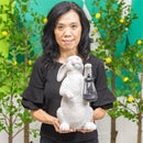 Hop Into Spring Garden Statuary, Resin Bunny with Solar Lantern, 14"H