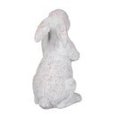 Hop Into Spring Garden Statuary, Resin Bunny with Solar Lantern, 14"H