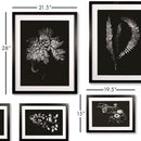 NAPA Home & Garden, X-RAY LEAF STUDY GALLERY, SET OF 9,HC150
