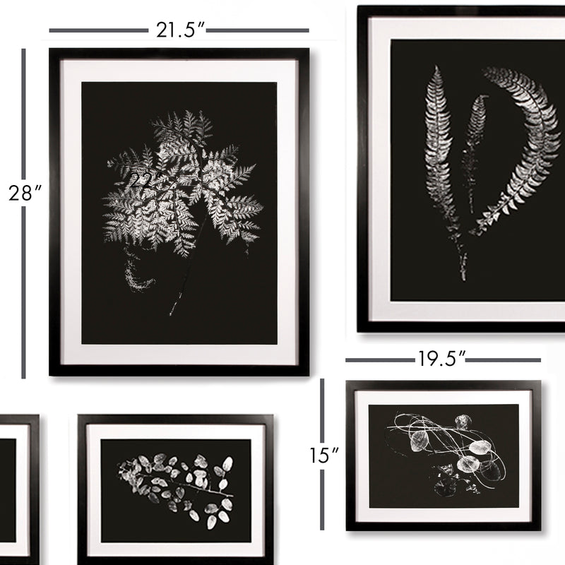 NAPA Home & Garden, X-RAY LEAF STUDY GALLERY, SET OF 9,HC150