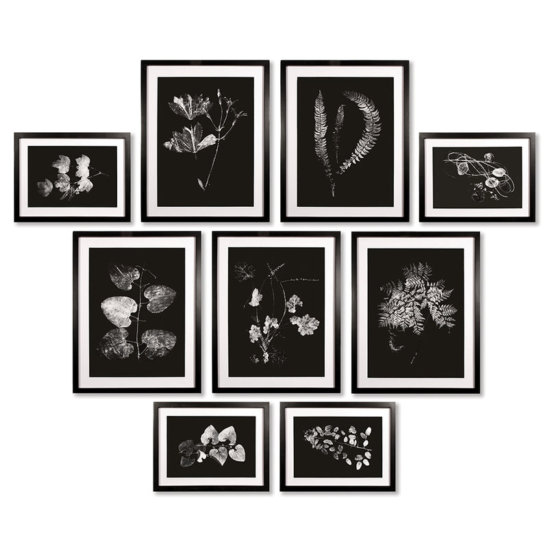 NAPA Home & Garden, X-RAY LEAF STUDY GALLERY, SET OF 9,HC150