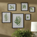 Napa Home Garden, LEAF STUDY WATERCOLOR GALLERY ,SET OF 6,hc160