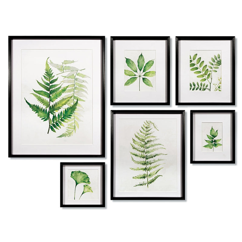 Napa Home Garden, LEAF STUDY WATERCOLOR GALLERY ,SET OF 6,hc160