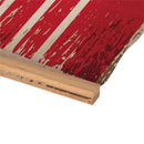 University of Nebraska, Canvas Wall Tapestry, Medium, 36x24