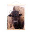 Hillside Pasture Indoor Wall Decor Canvas Tapestry, Bison 52"X 36" Canvas Tapestry