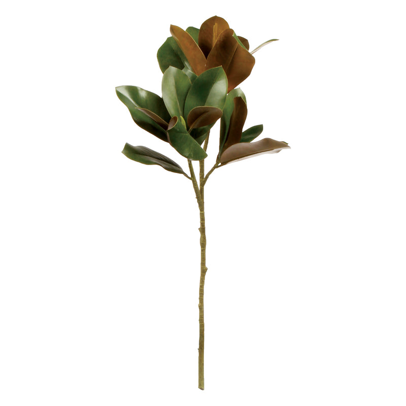 NAPA Home & Garden, GRAND MAGNOLIA LEAF STEM 32",K101