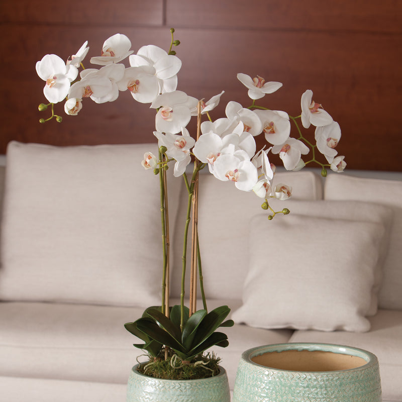 NAPA Home & Garden, PHALAENOPSIS ORCHID DROP-IN 31",K118W