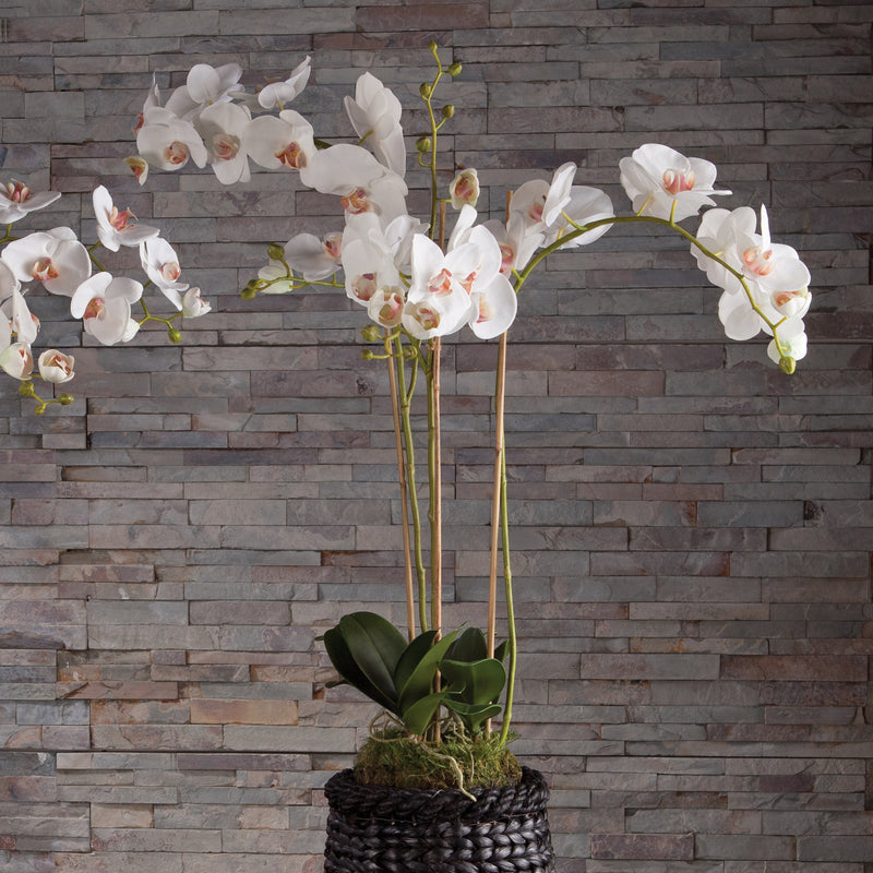 NAPA Home & Garden, PHALAENOPSIS ORCHID DROP-IN 31",K118W