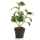 NAPA Home & Garden, MINT DROP-IN 8",K121