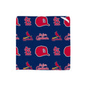 St Louis Cardinals Quick Dry 1pc Kitchen Towel and 1pc Dish Cloth Kitchen Gift Set