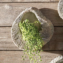NAPA Home & Garden, SEABROOK WALL PLANTER SERIES