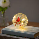 Memorial LED Table Decor Crackled Glass Hand Painted Globe Cardinal "Love Lives Forever", 4", CDU