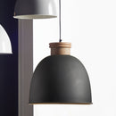 NAPA Home & Garden, Zeke Pendant Light Fixture