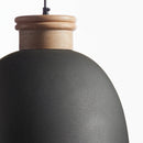 NAPA Home & Garden, Zeke Pendant Light Fixture