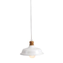 NAPA Home & Garden, NOLITA PENDANT Collection