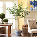 NAPA Home & Garden, BIRCH TREE DROP-IN 6'4",N2CC05