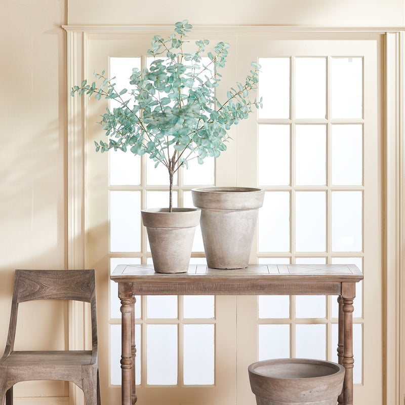 NAPA Home & Garden, EUCALYPTUS TREE DROP-IN 49",N2CC06