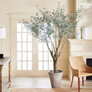 NAPA Home & Garden, GRAND TREE DROP-IN COLLECTION