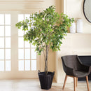 NAPA Home & Garden, GRAND TREE DROP-IN COLLECTION