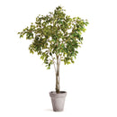 NAPA Home & Garden, GRAND TREE DROP-IN COLLECTION